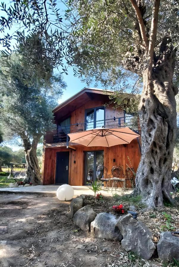 Coratina Cottage Ulcinj Kültér fotó