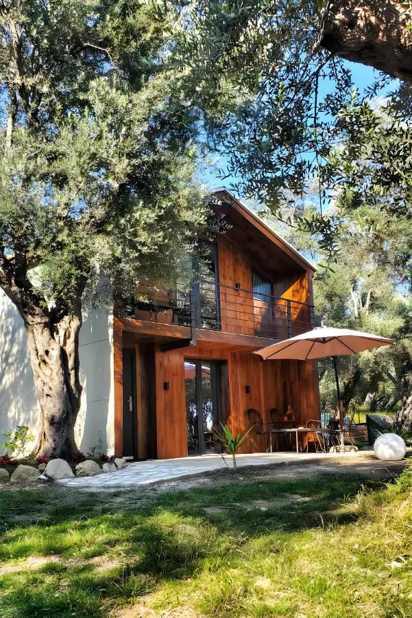 Coratina Cottage Ulcinj Kültér fotó
